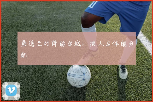 桑德兰对阵赫尔城，换人后体能分配