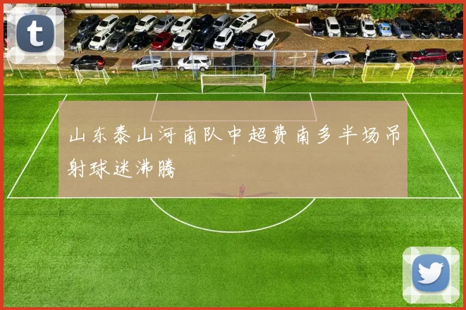 山东泰山河南队中超费南多半场吊射球迷沸腾